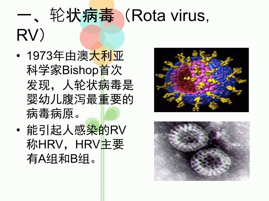 人类轮状病毒ppt课件文档资料_第2页