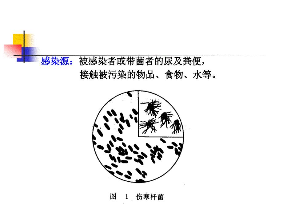 水处理生物学(第十二讲)_第4页