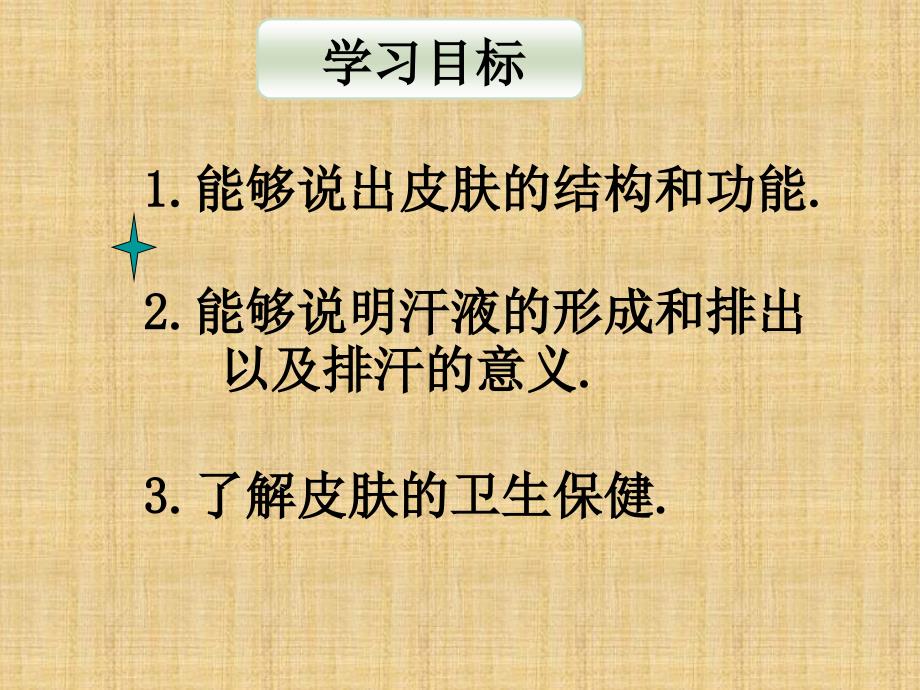 七年级生物下册汗液的形成和排出课件济南版_第3页