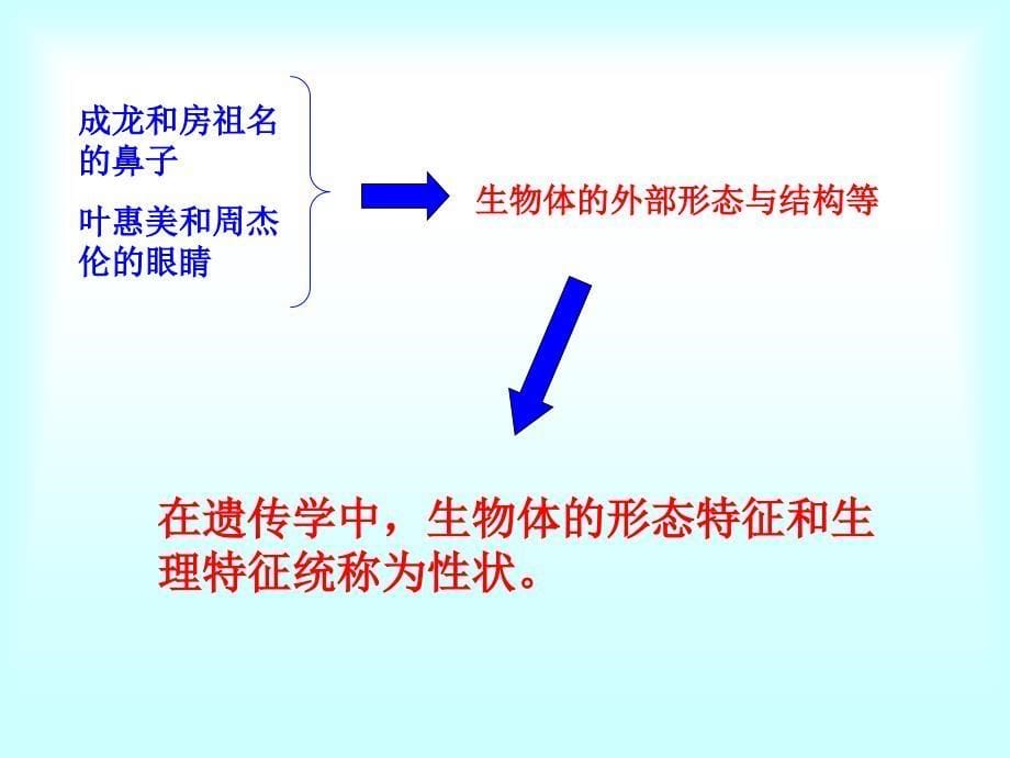 性状遗传(.25)_第5页