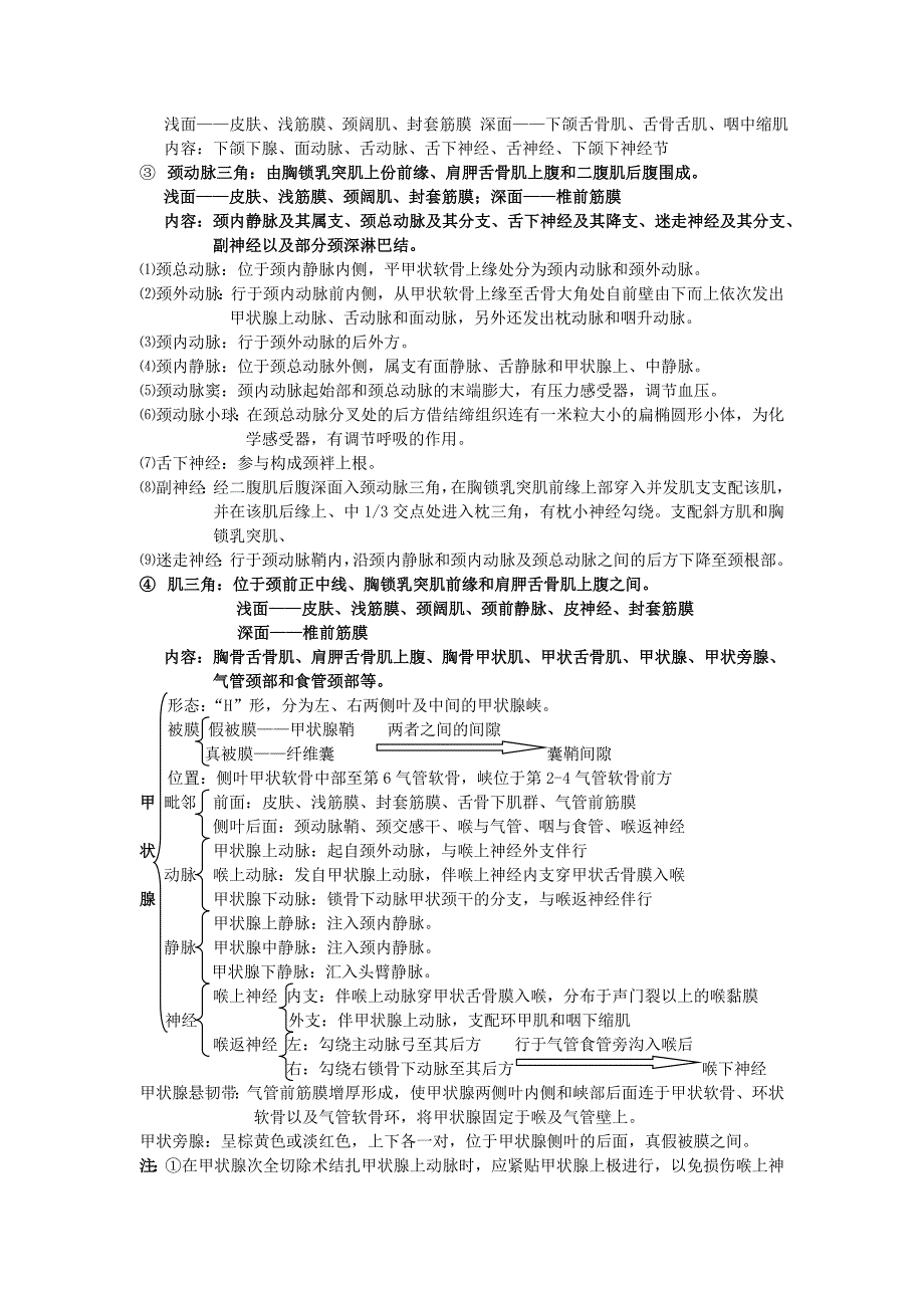 局部解剖学重点总结_第2页