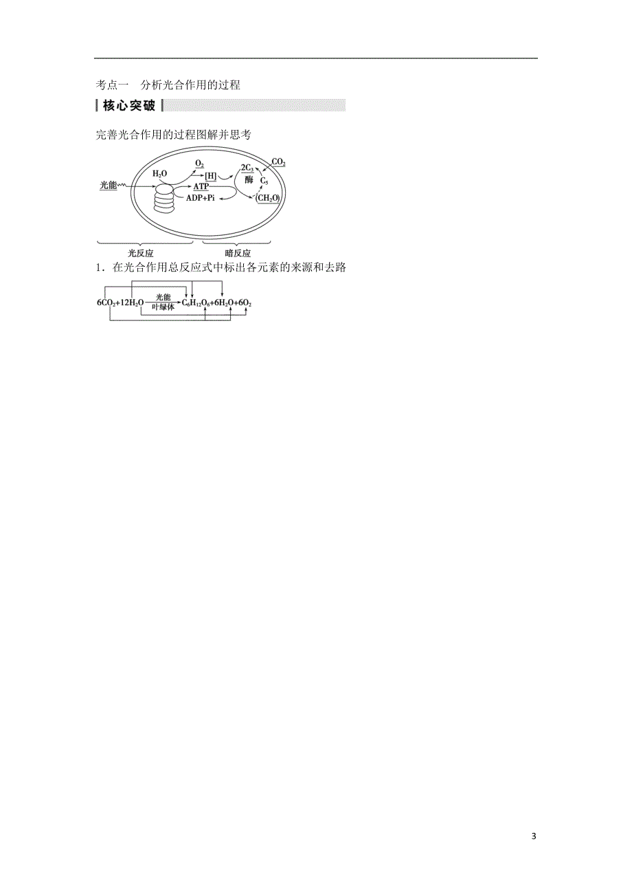 高三生物一轮复习3.11光与光合作用教学案新人教版_第3页