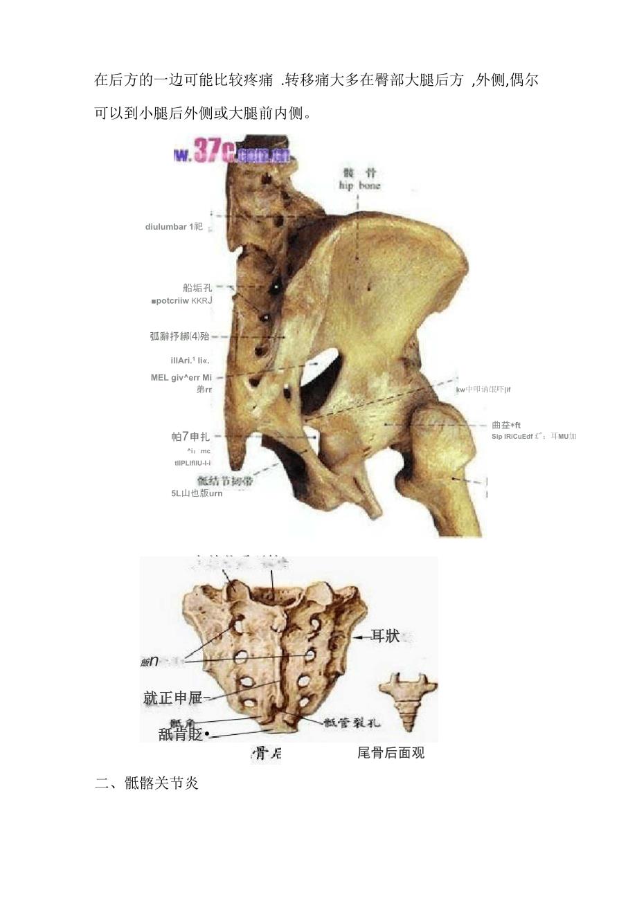 骶髂关节(搜集整理)_第2页