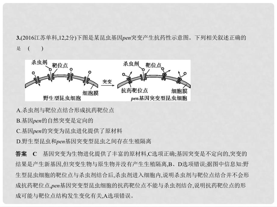 北京市高考生物专题复习 专题16 生物进化课件 新人教版_第4页