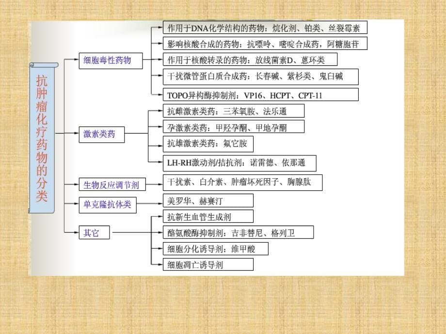 常见化疗药物分类及注意事项_第5页