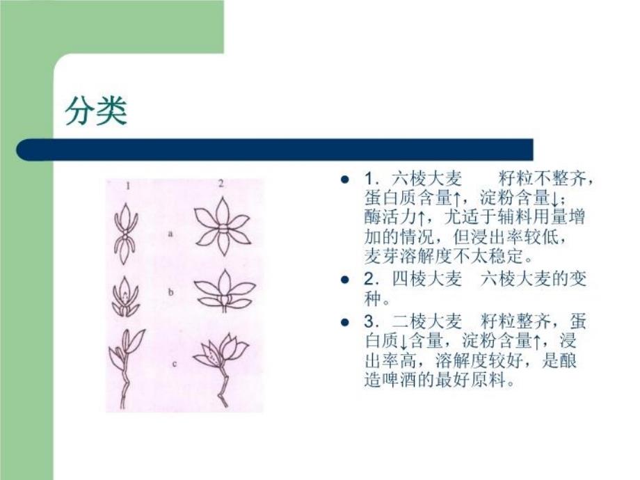 最新啤酒生产技术48PPT课件_第4页