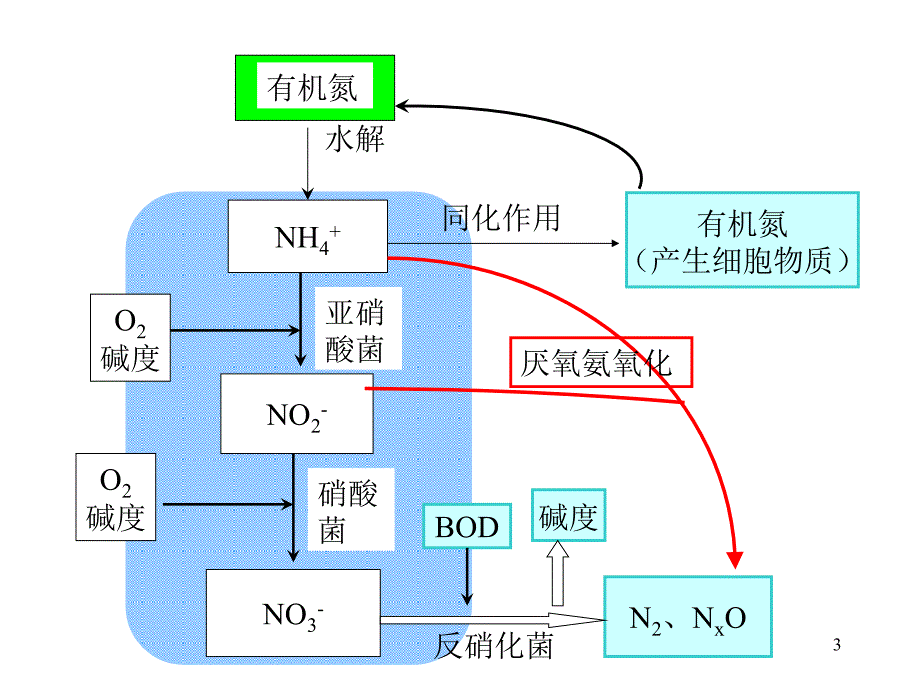 生物脱氮除磷课件(1)_第3页