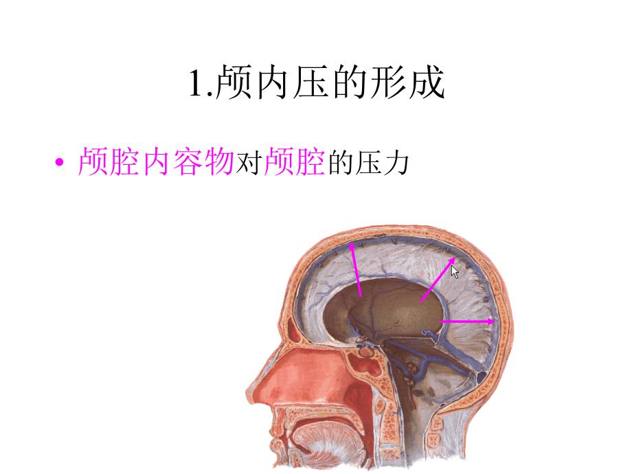 第十八章颅脑损伤课件_第4页