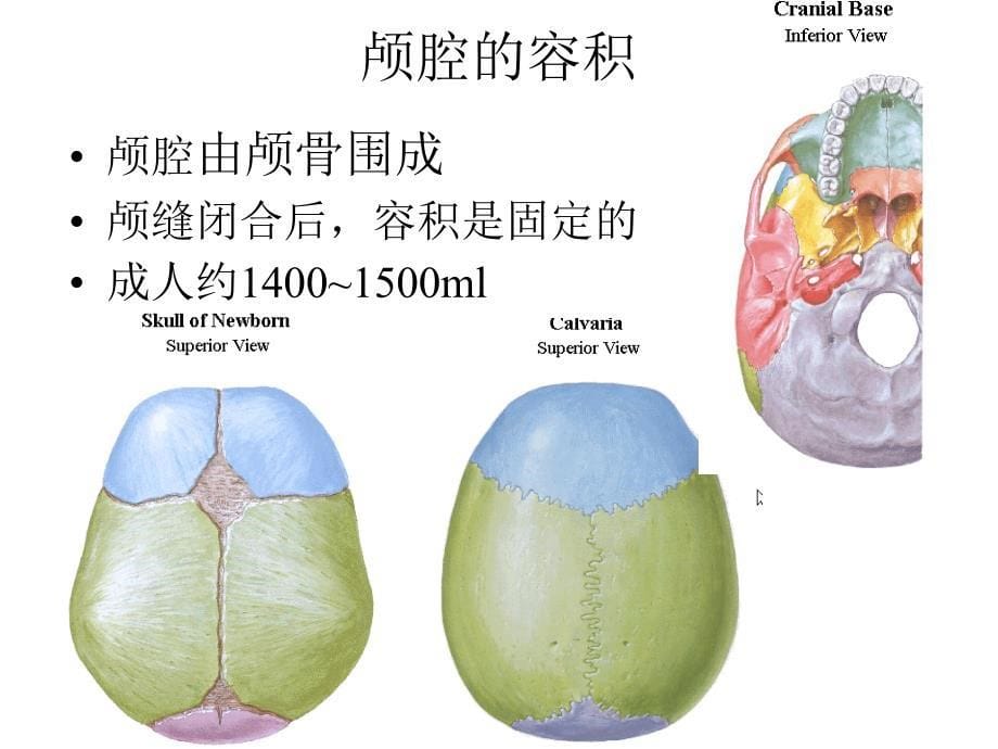 第十八章颅脑损伤课件_第5页