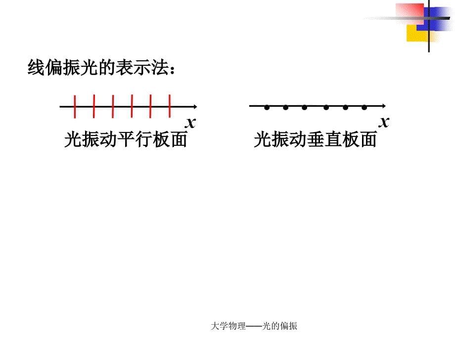 大学物理光的偏振_第5页