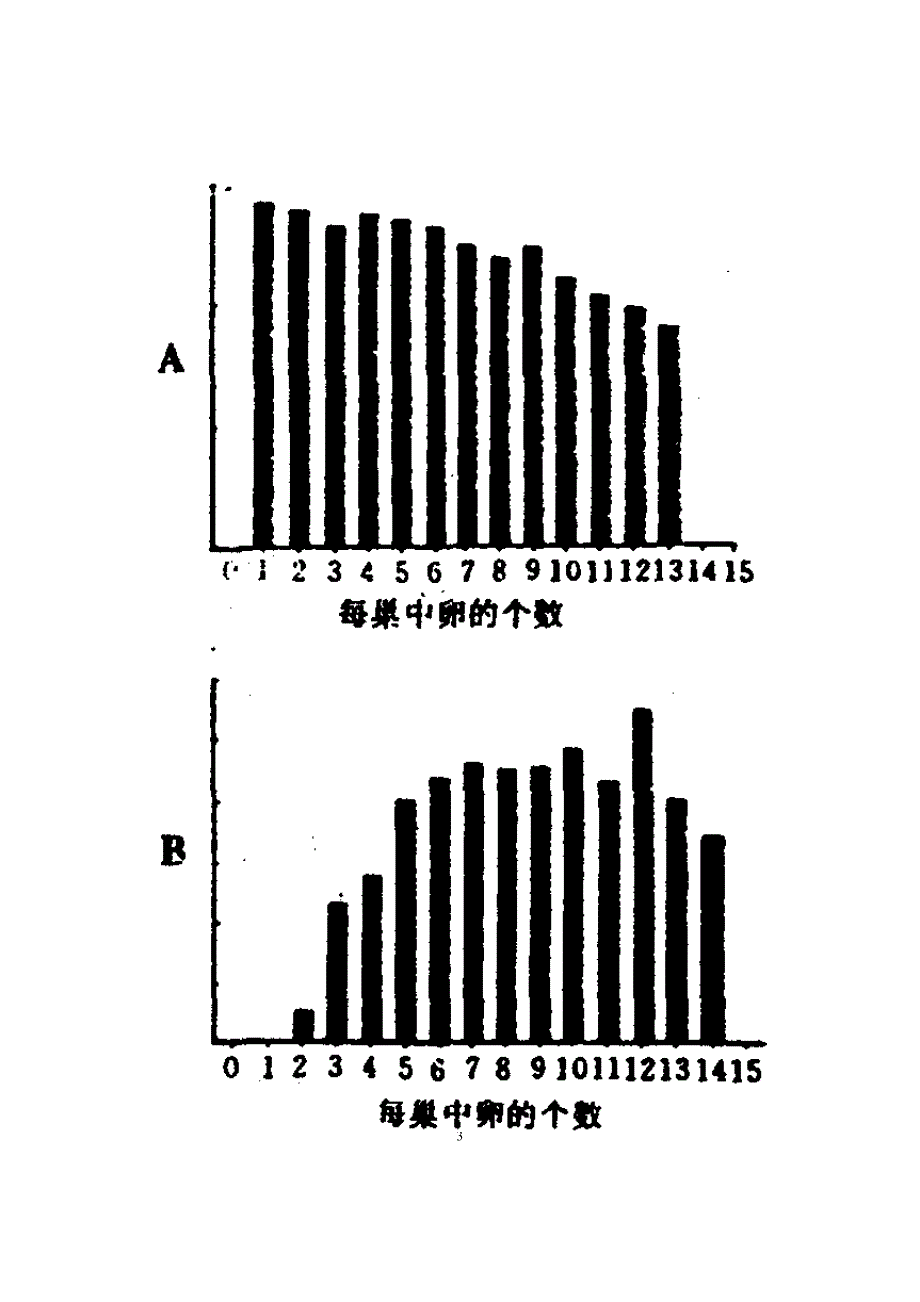 第7届IBO题解_第3页