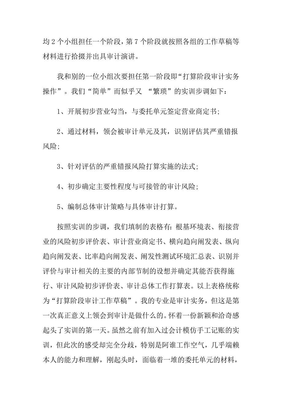 关于审计专业的实习报告3篇_第5页