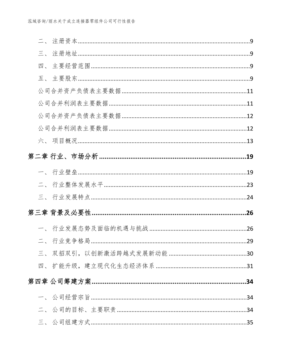 丽水关于成立连接器零组件公司可行性报告（模板范本）_第4页