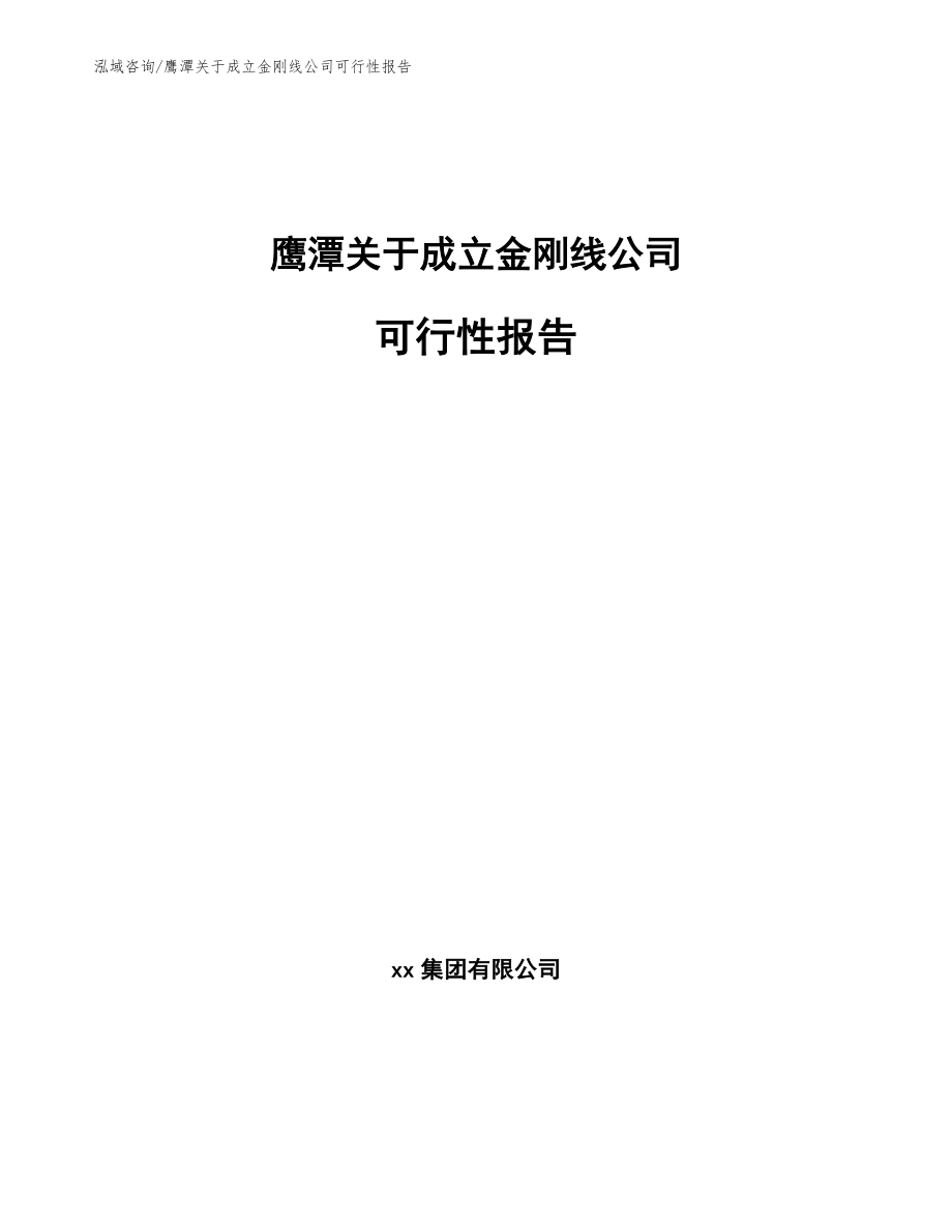 鹰潭关于成立金刚线公司可行性报告（模板参考）_第1页