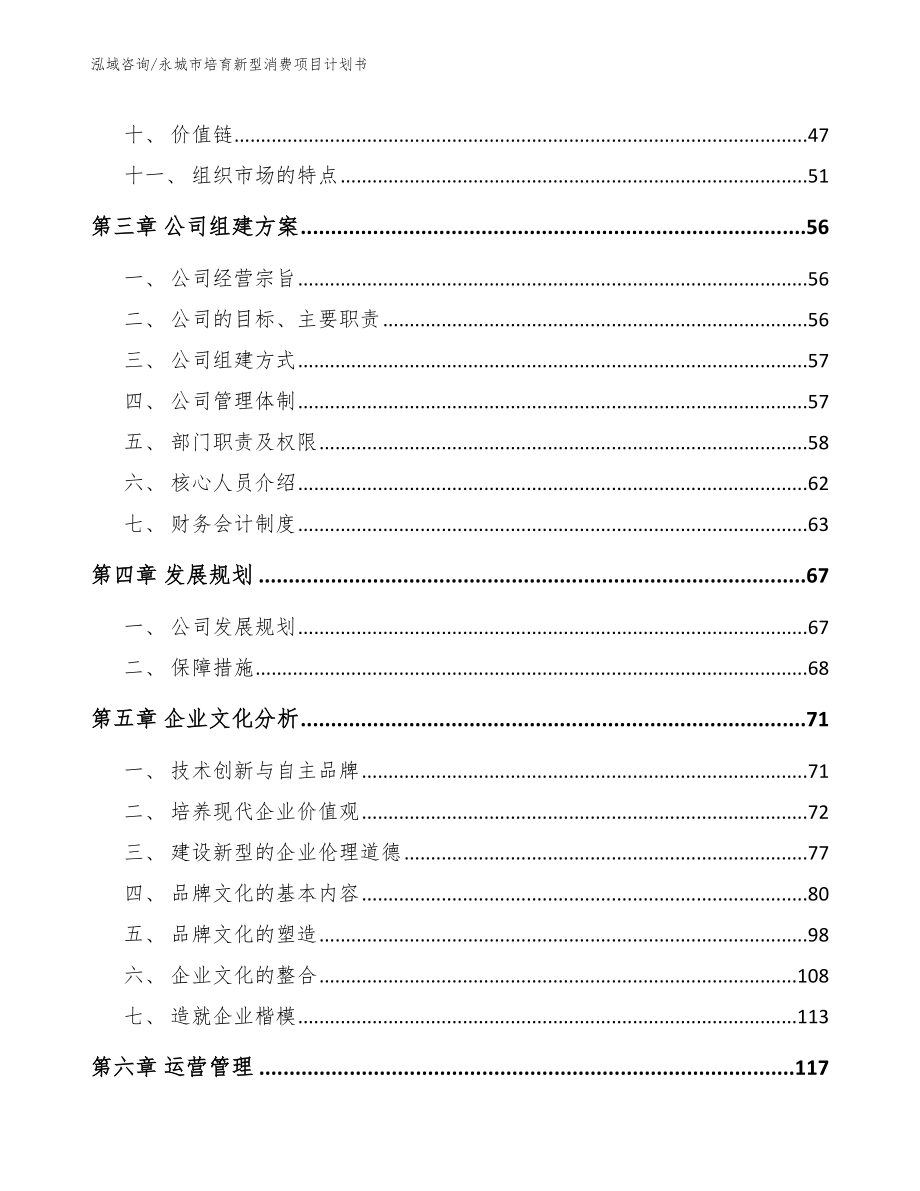 永城市培育新型消费项目计划书_第2页