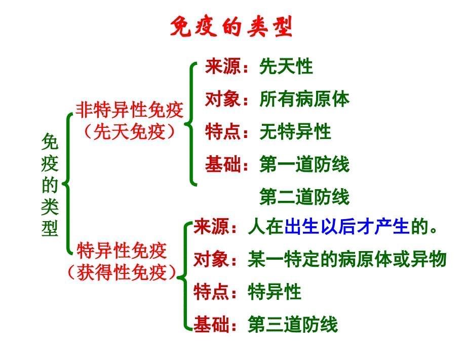 免疫系统的组成_第5页