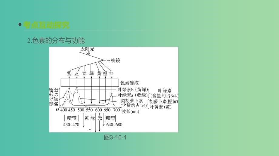 2019届高考生物一轮复习第3单元细胞的能量供应和利用第10讲光与光合作用课件.ppt_第5页