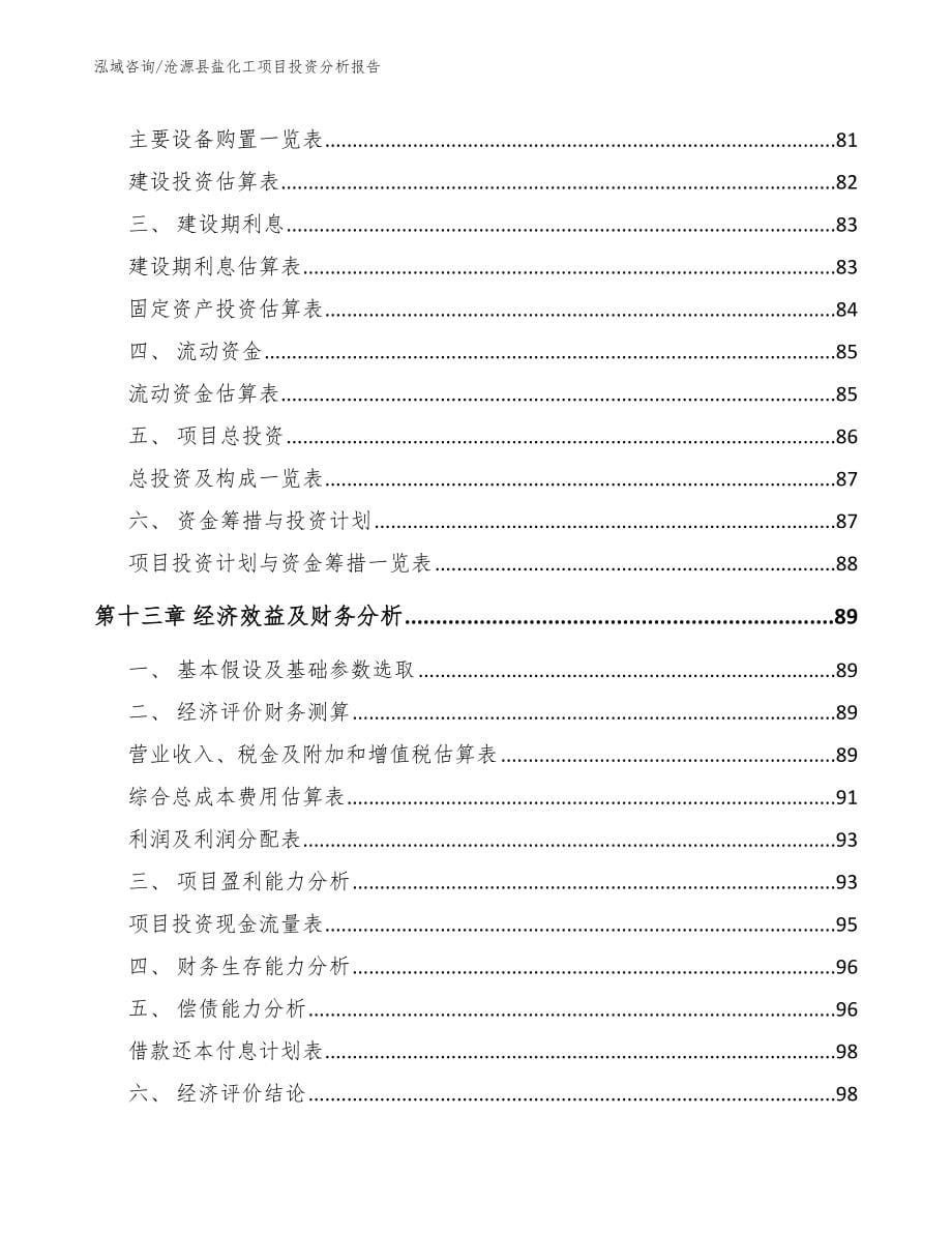 沧源县盐化工项目投资分析报告参考模板_第5页