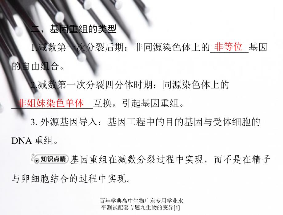 百年学典高中生物广东专用学业水平测试配套专题九生物的变异[1]课件_第4页