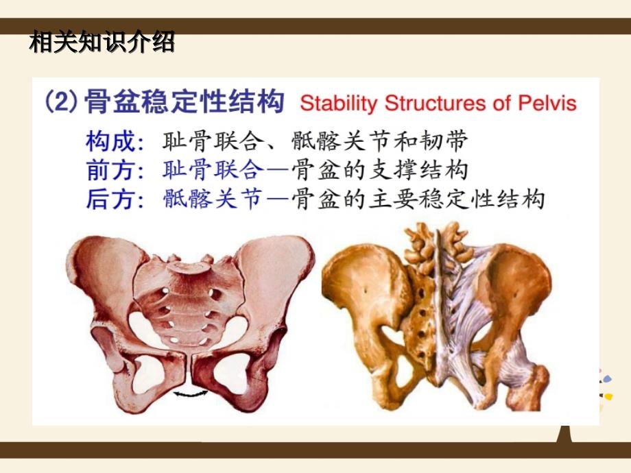 骨盆骨折护理查房83325_第3页