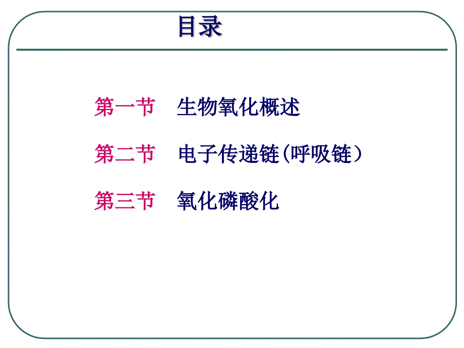 生物化学：第四章 生物氧化与氧化磷酸化_第2页