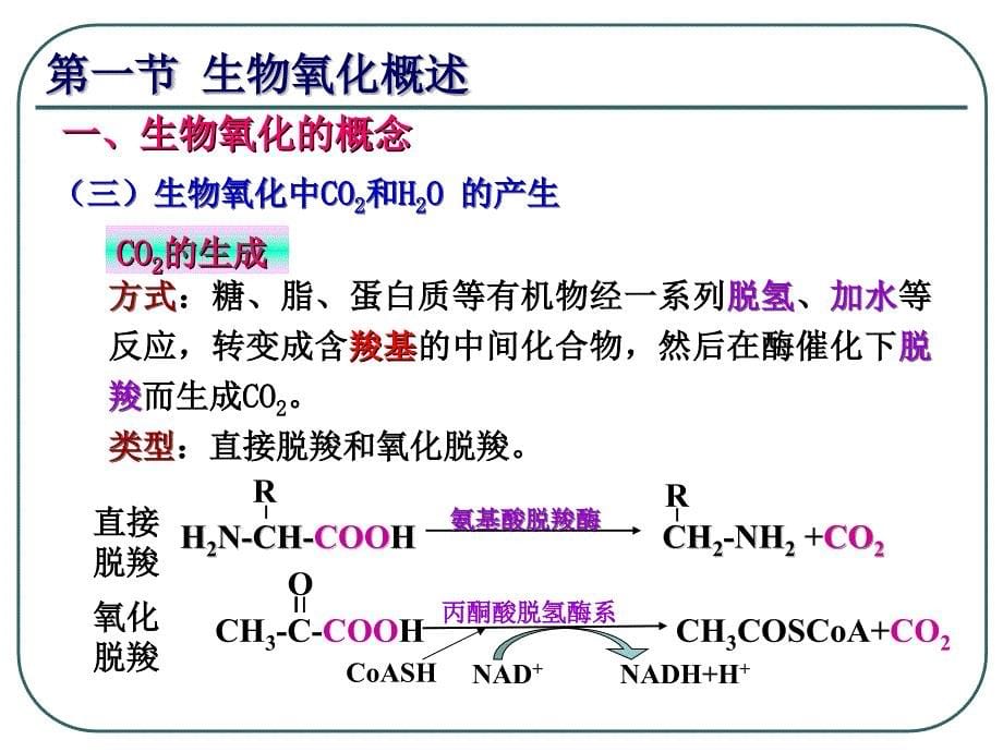 生物化学：第四章 生物氧化与氧化磷酸化_第5页