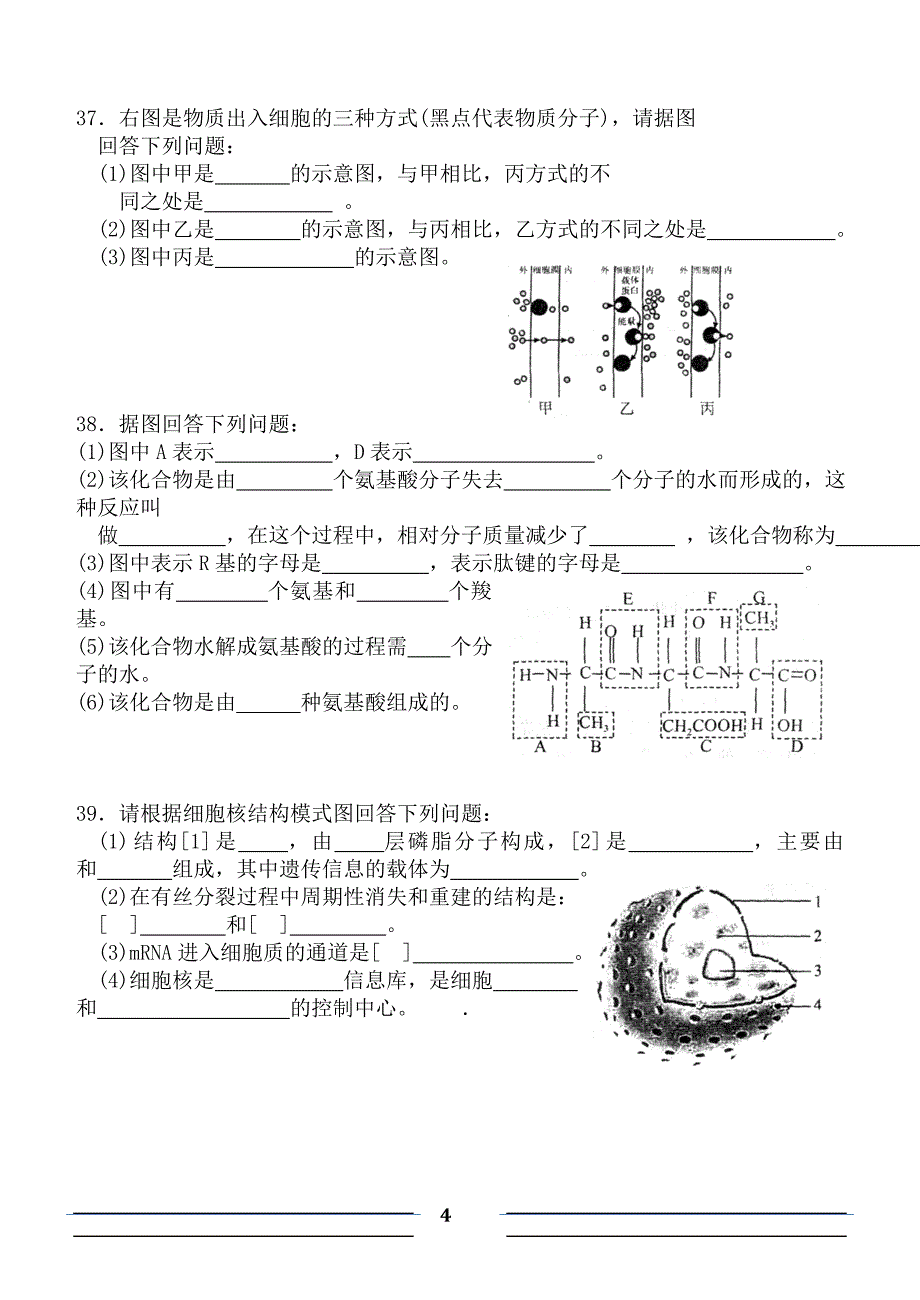 生物必修一期中2012-2013习题.doc_第4页