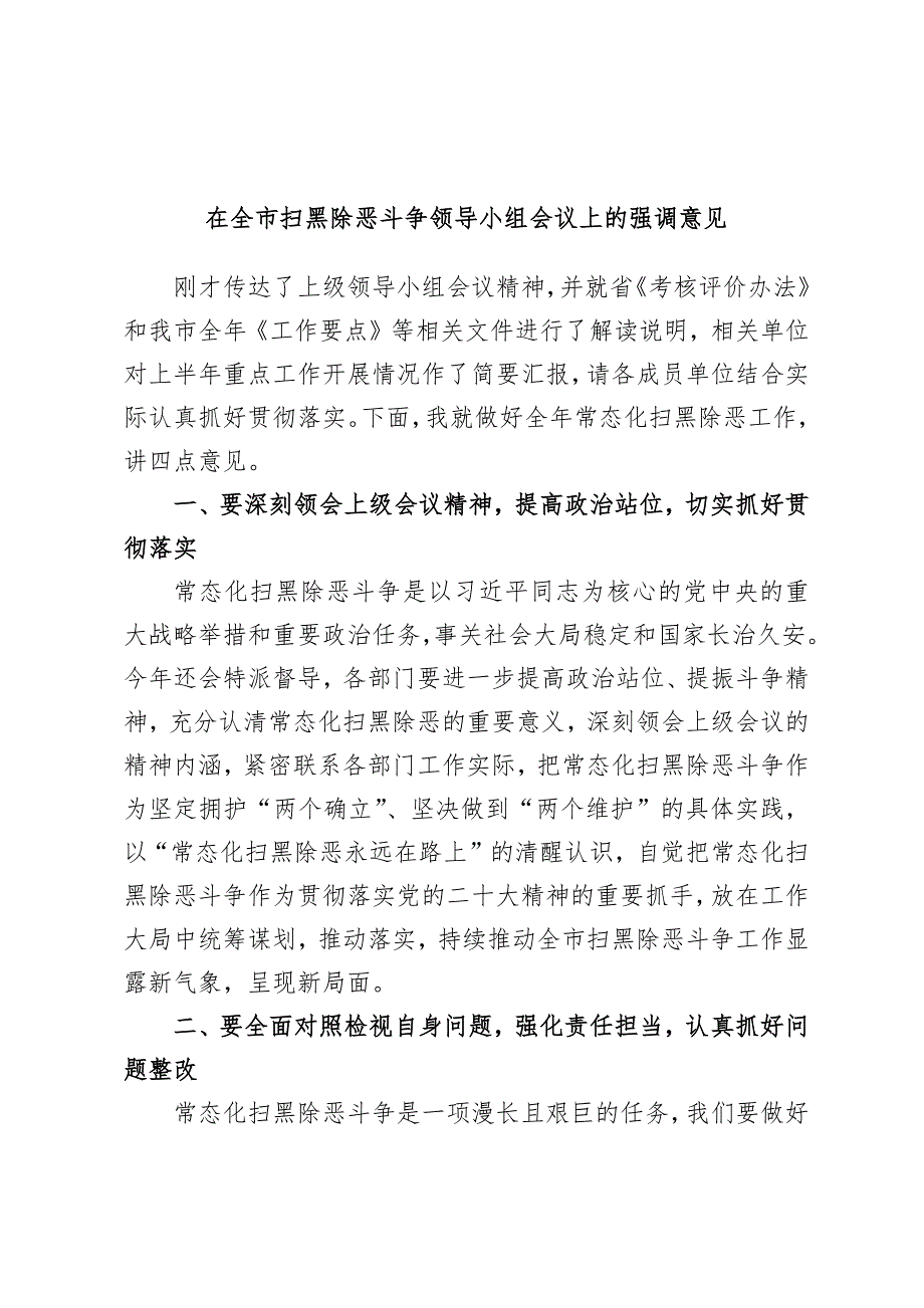 在全市扫黑除恶斗争领导小组会议上的强调意见.docx_第1页