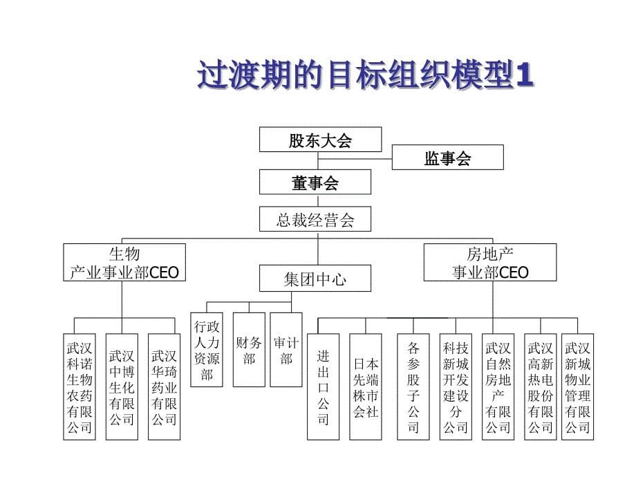 流程与组织优化方案东湖高新集团_第5页