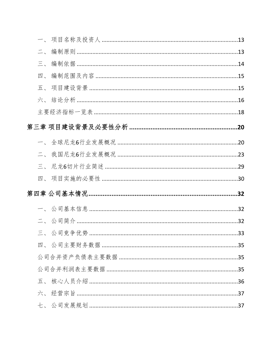 湖南聚酰胺6切片项目可行性研究报告(DOC 78页)_第2页