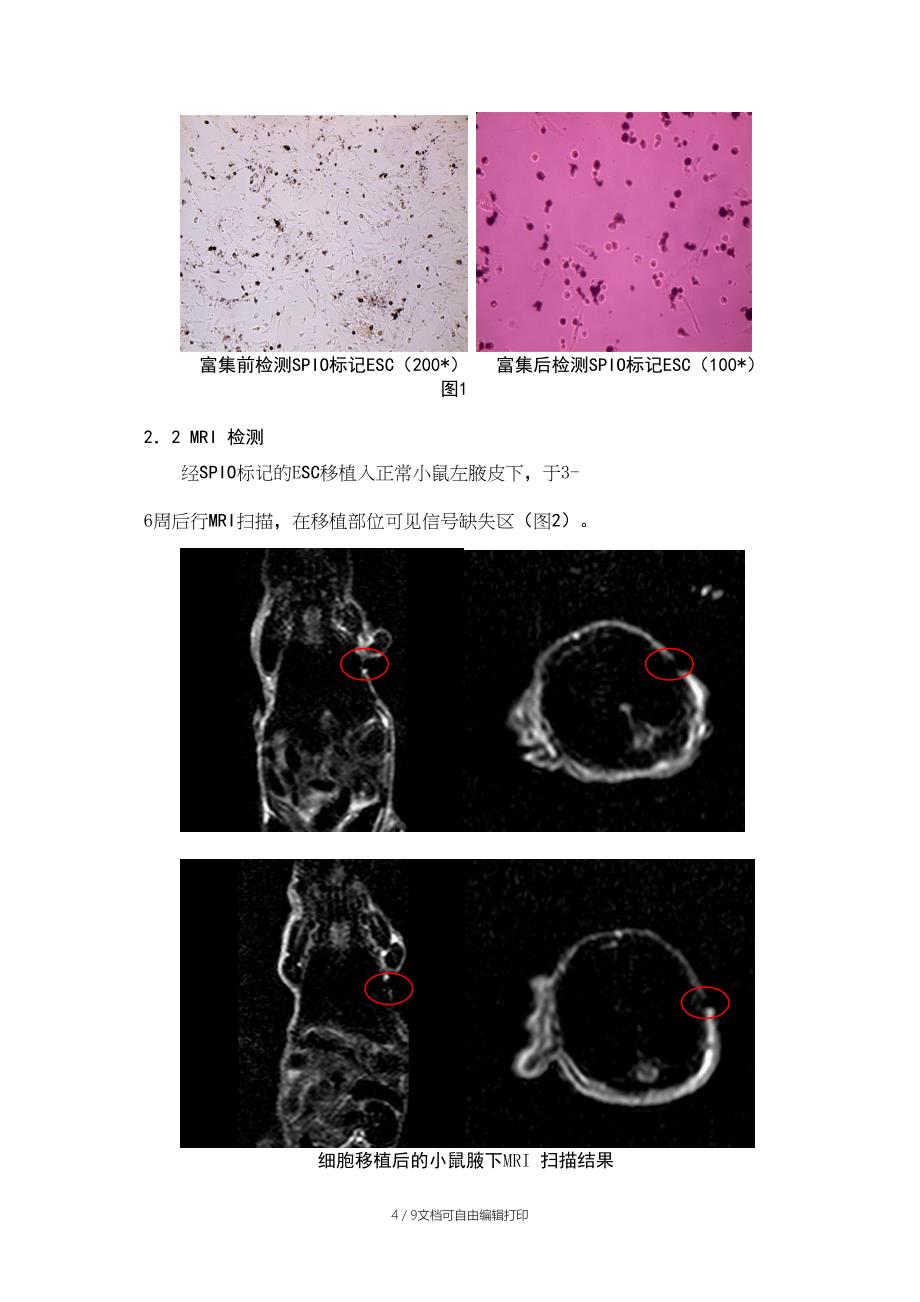 干细胞标记论文_第4页