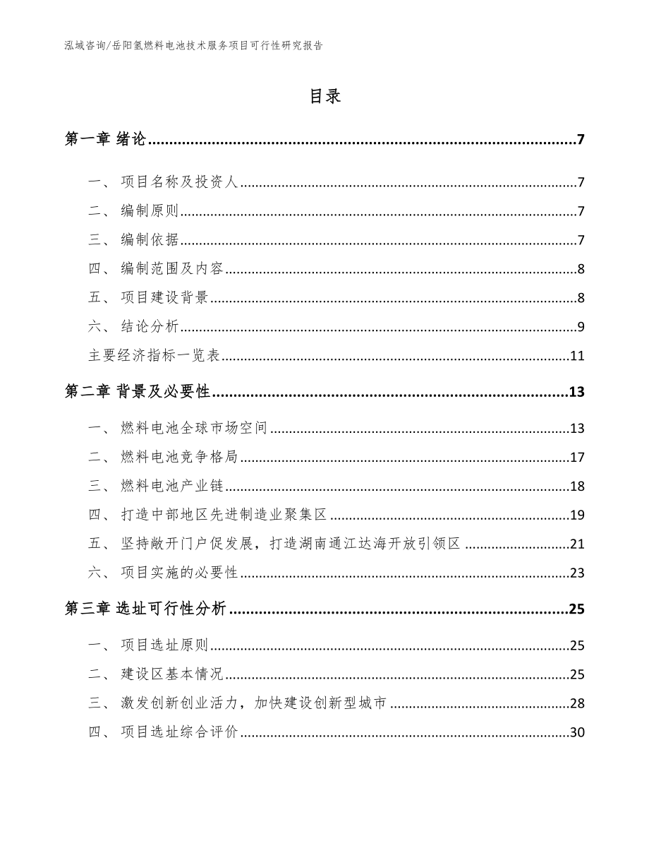 岳阳氢燃料电池技术服务项目可行性研究报告（模板参考）_第2页