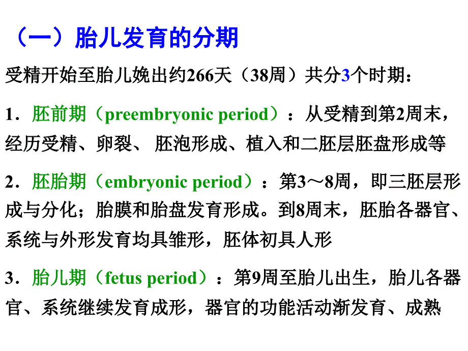 组织学与胚胎学：胎儿发育-2_第3页