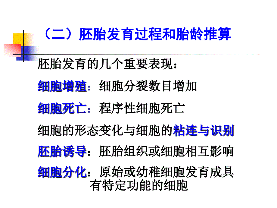 组织学与胚胎学：胎儿发育-2_第4页