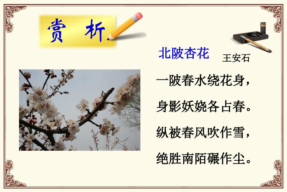 《北陂杏花》教学课件_第4页