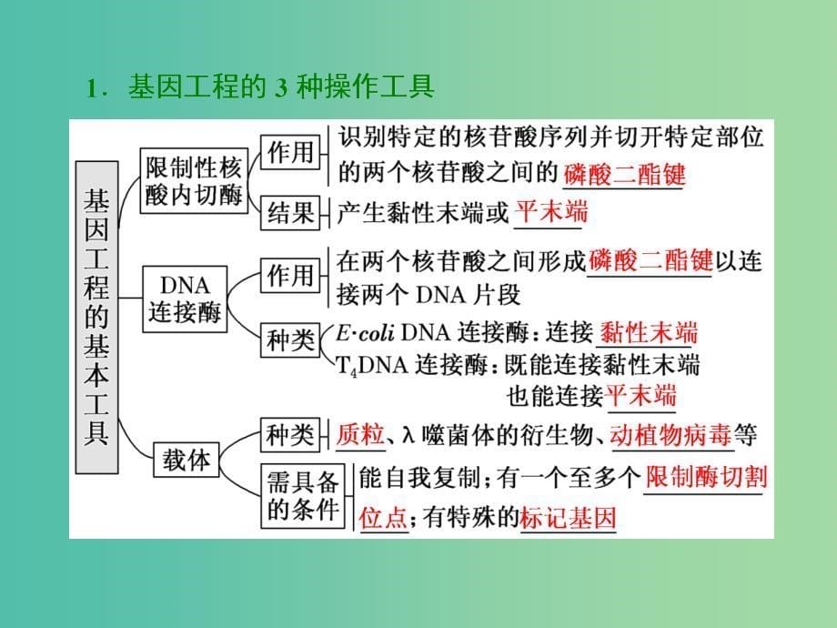 2019高考生物二轮复习专题七鸭第Ⅱ课时基因工程与克隆技术课件.ppt_第5页