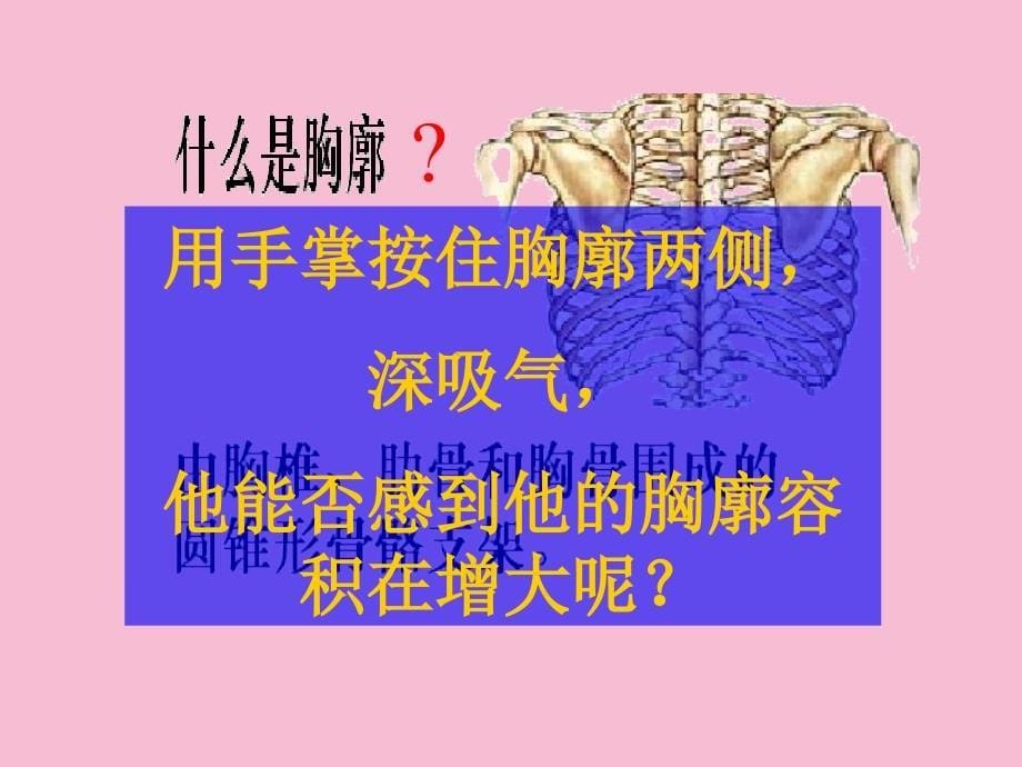 发生在肺内气体交换讲授式ppt课件_第5页