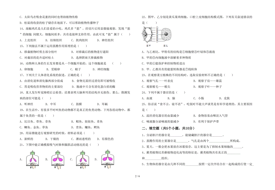 2023年七年级生物上册期末测试卷(最新).doc_第2页