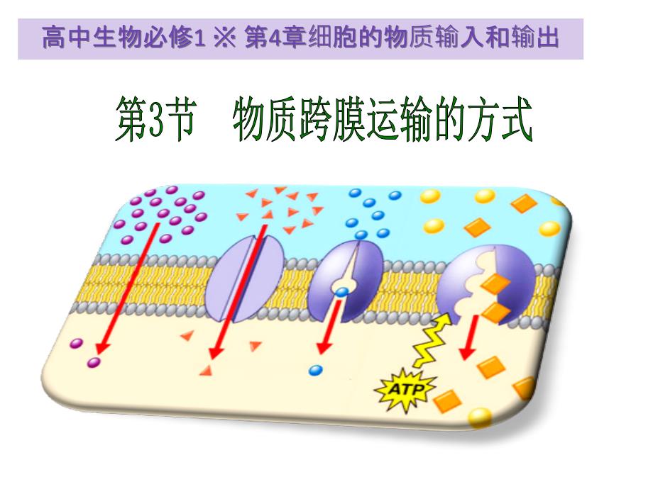 生物必修课堂教学物质跨膜运输的方式_第1页