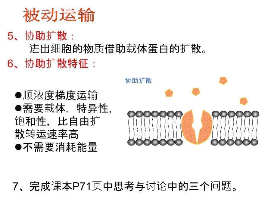 生物必修课堂教学物质跨膜运输的方式_第5页