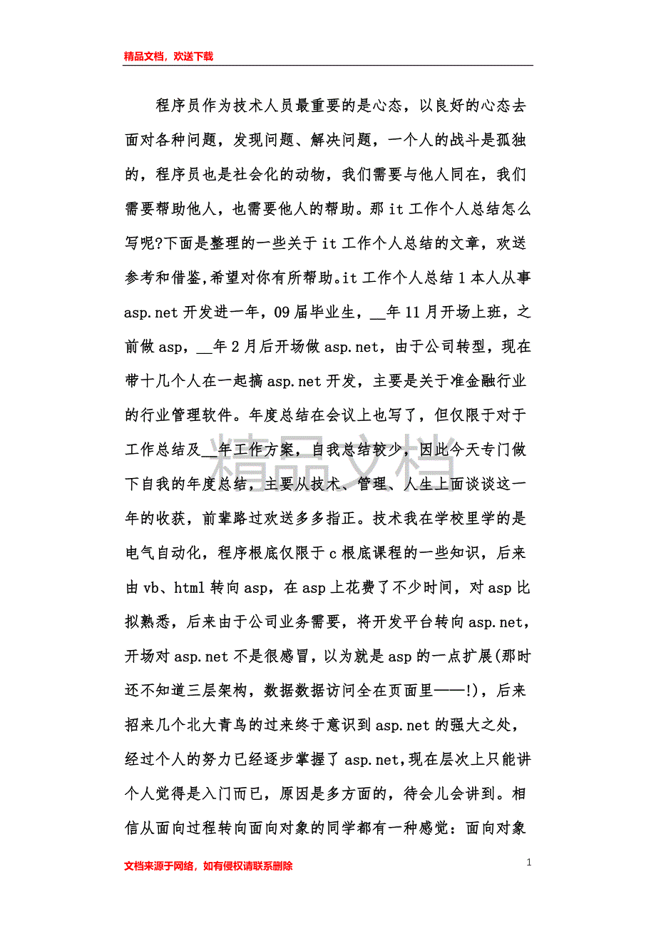 it行业个人工作总结_第1页