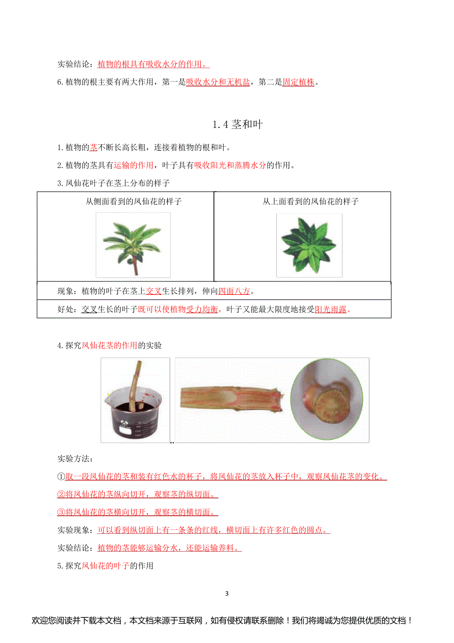 新教科版四年级科学下册第一单元《植物的生长变化》知识点整理_第3页