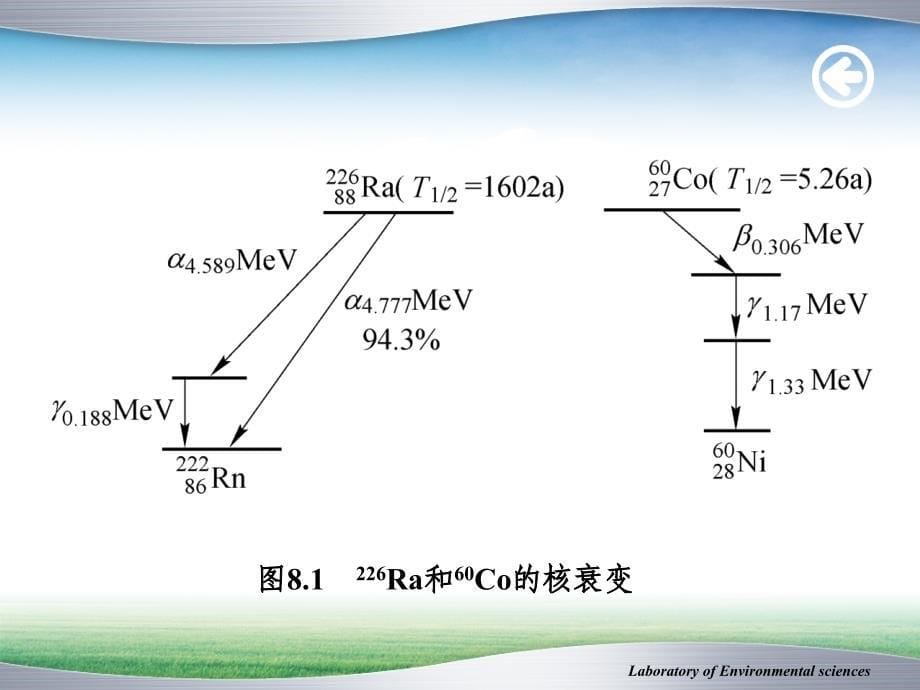 7放射性物质监测_第5页