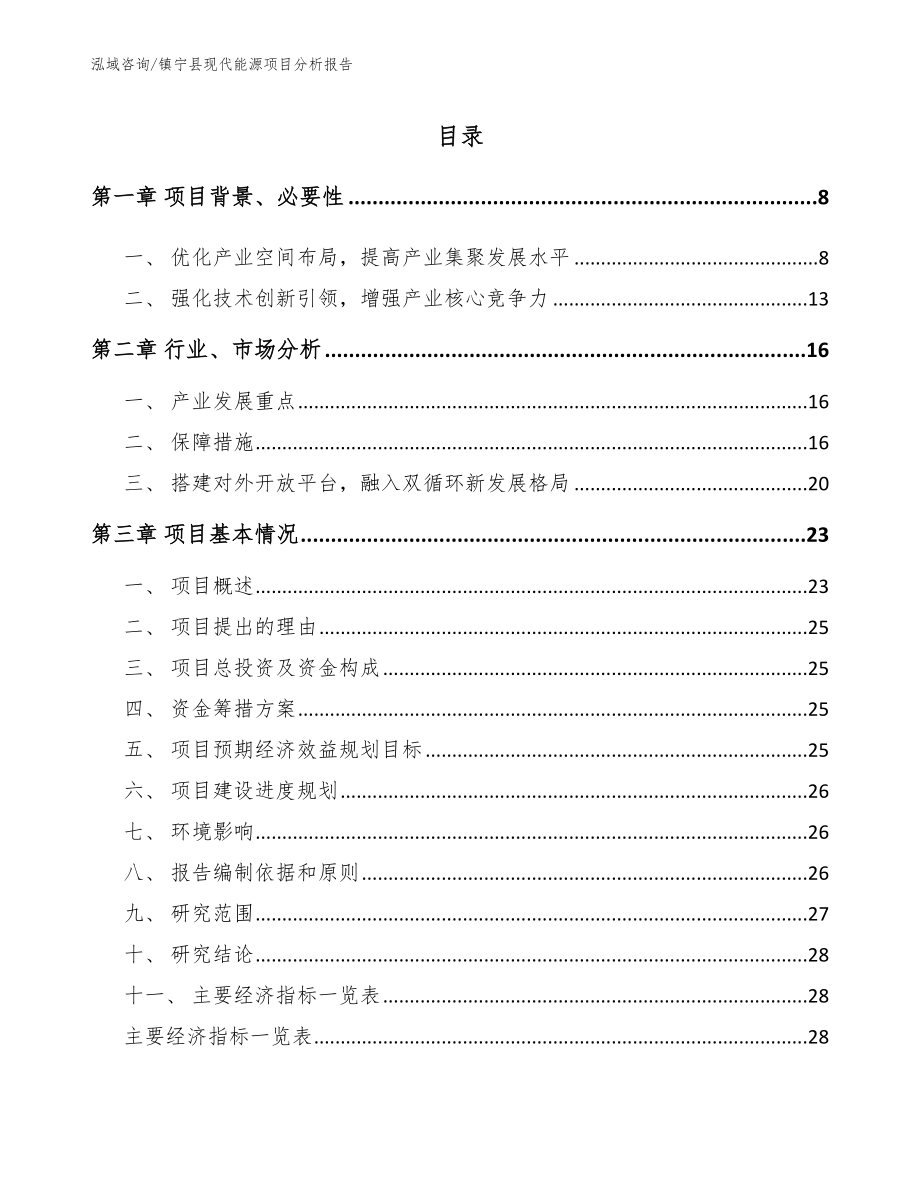 镇宁县现代能源项目分析报告【模板参考】_第1页