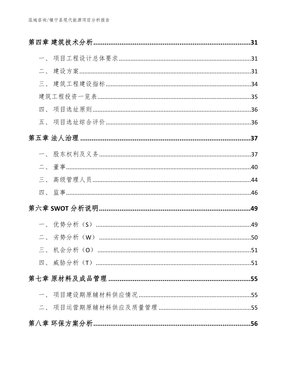 镇宁县现代能源项目分析报告【模板参考】_第2页