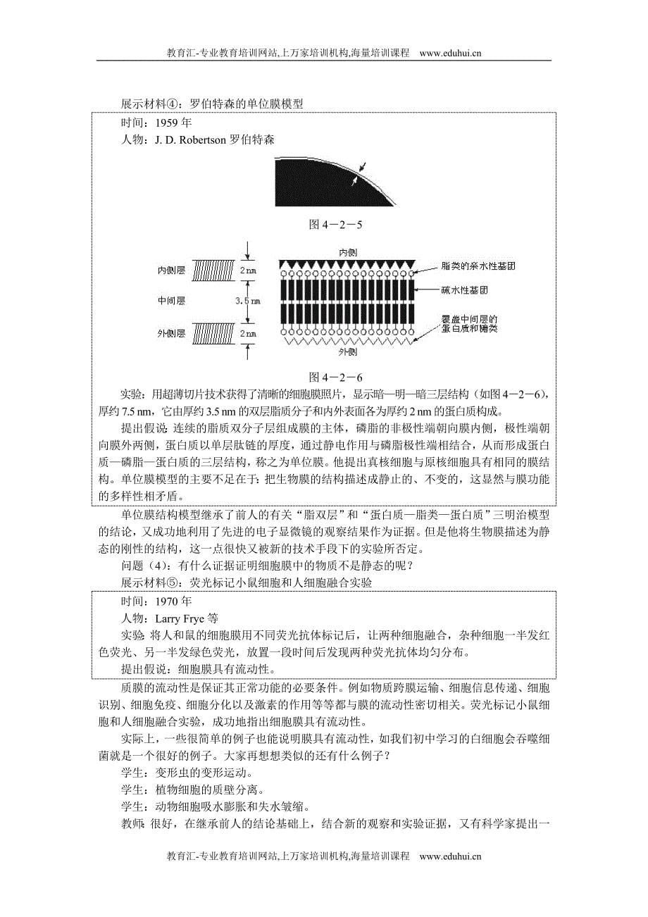 人教新课标高中生物必修一示范教案（生物膜的流动镶嵌模型）.doc_第5页