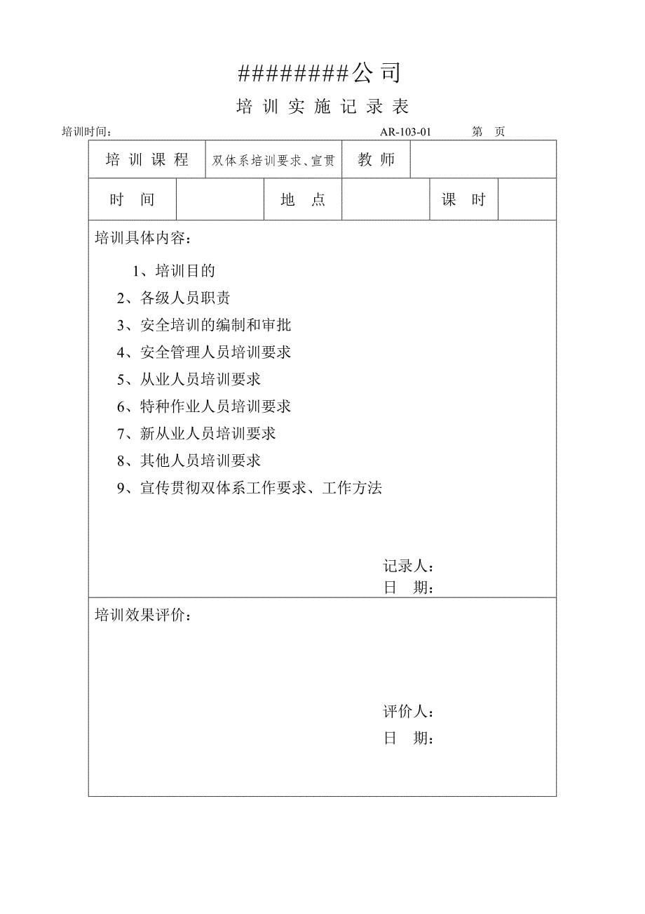 双体系计划和实施2.docx_第5页