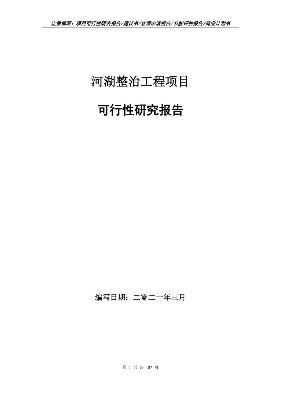 河湖整治工程项目可行性研究报告写作范本_第1页