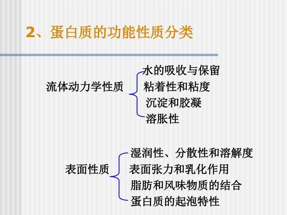 第十九部分蛋白质加工化学教学课件_第5页