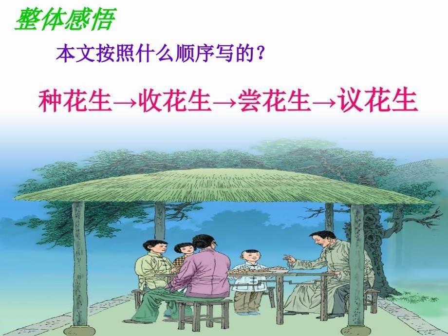 《落花生》教学课件_第5页